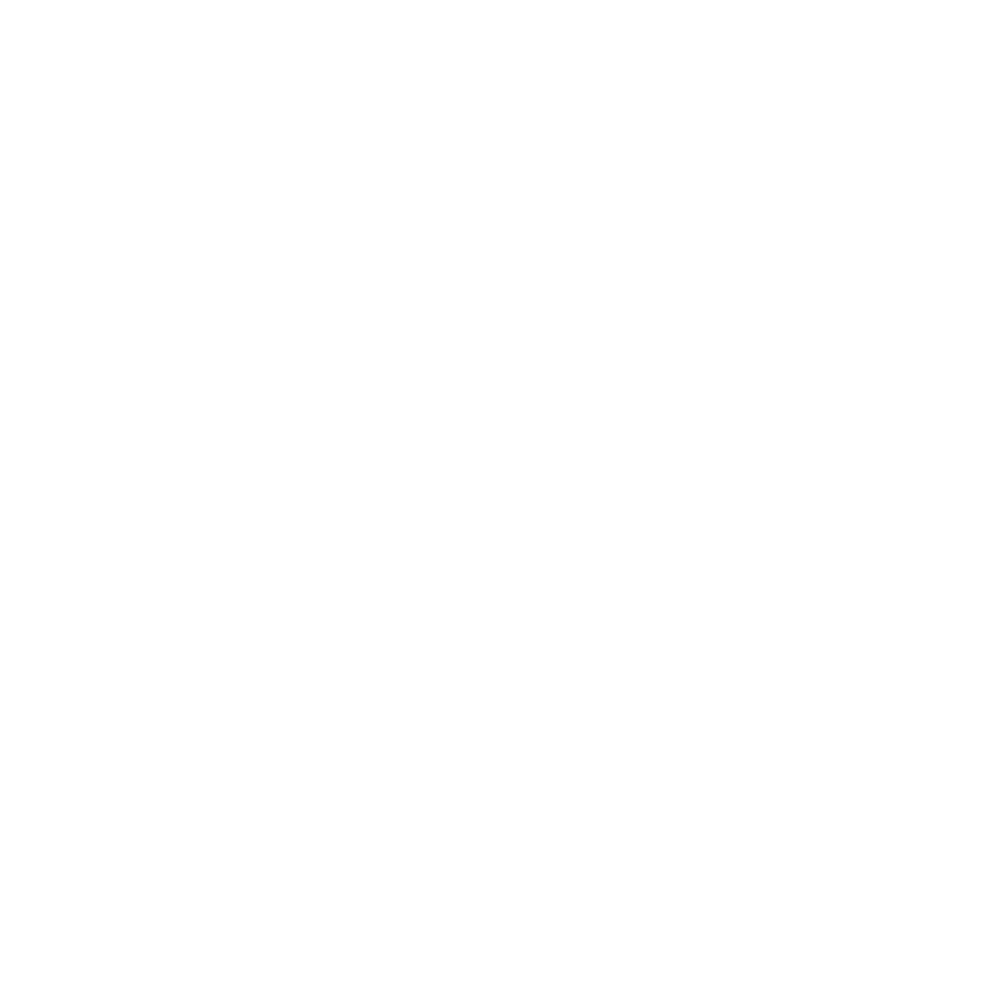 Veritas Icon